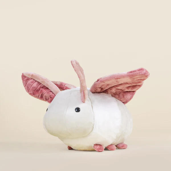 Moth/Butterfly