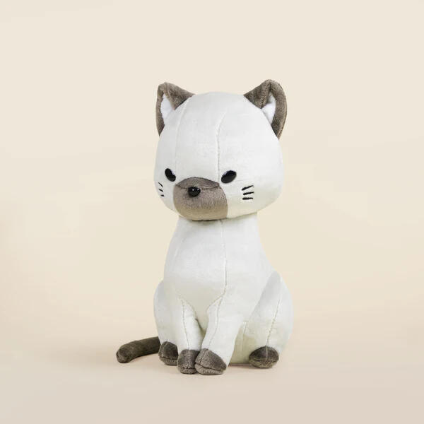 Cats/Kittens